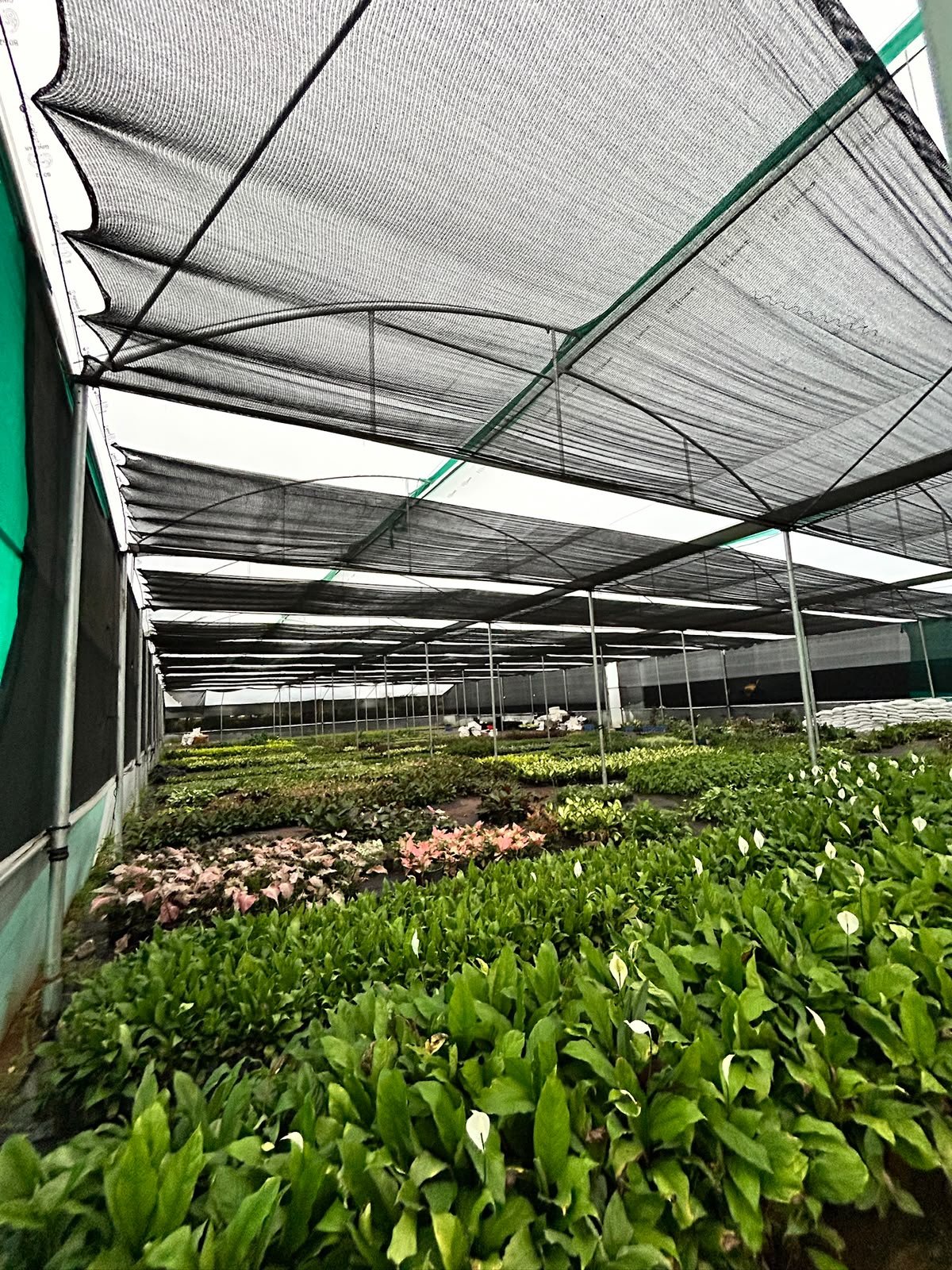 Production facility